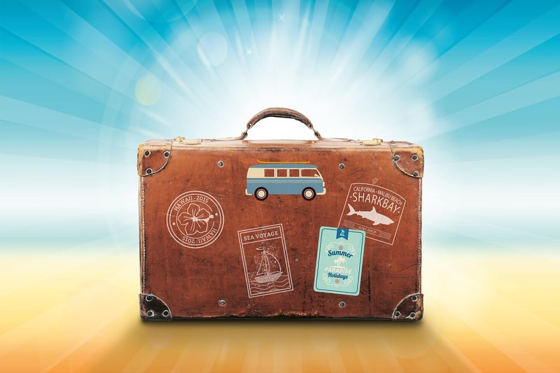 Vintage Suitcase Shelves